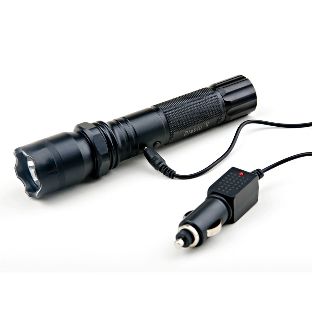 Concealed Flashlight Stun Gun from Sporty's Tool Shop