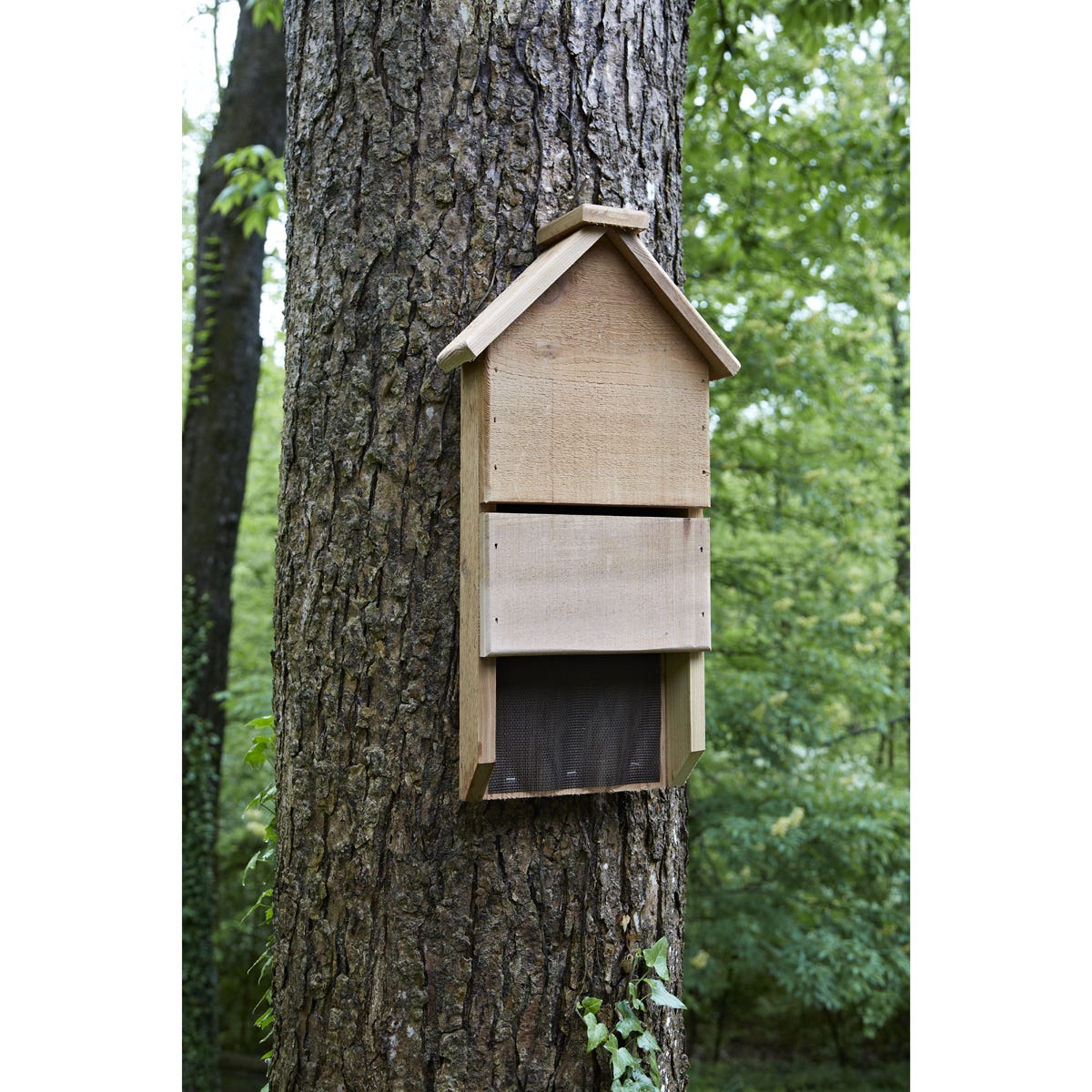 Bat House Lawn Care from Sporty's Tool Shop
