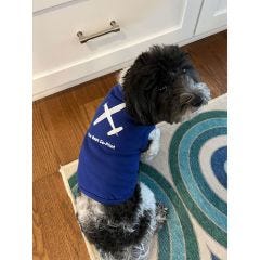 General Aviation Pet T-Shirt