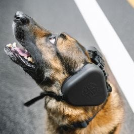 4Paws Dog Aviation Ear Muffs