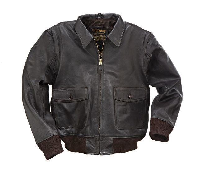 Modern Leather Flight Jacket (AN-J-3)