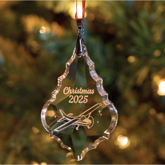 2025 Ornament hanging on tree
