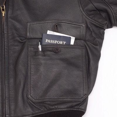 Modern Leather Flight Jacket (AN-J-3)