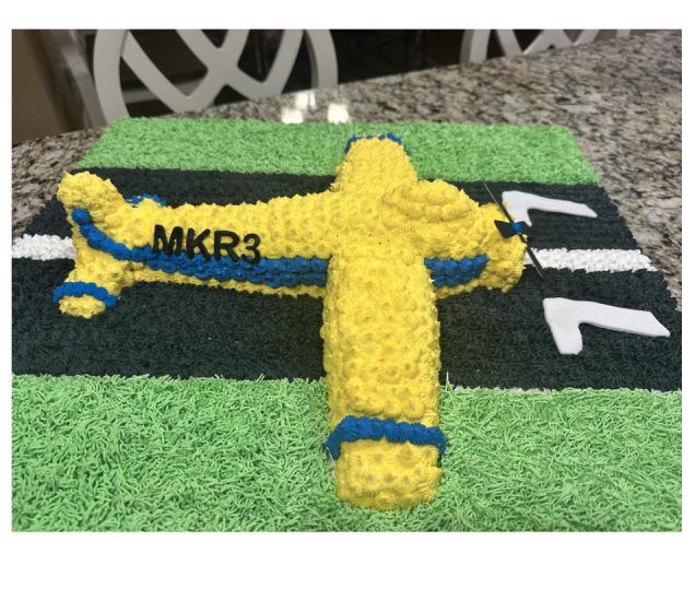 Airplane Shaped Cake Pan (Set of 2)