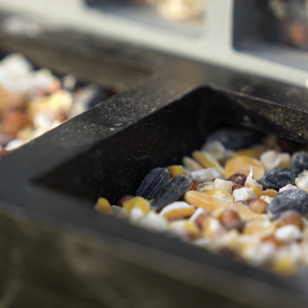 Drainage-Protected Feeding Areas