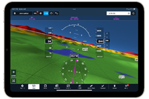 Side-swappable microphone icon