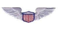 air force wings