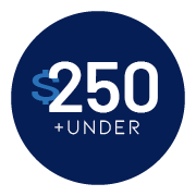 $250 and under
