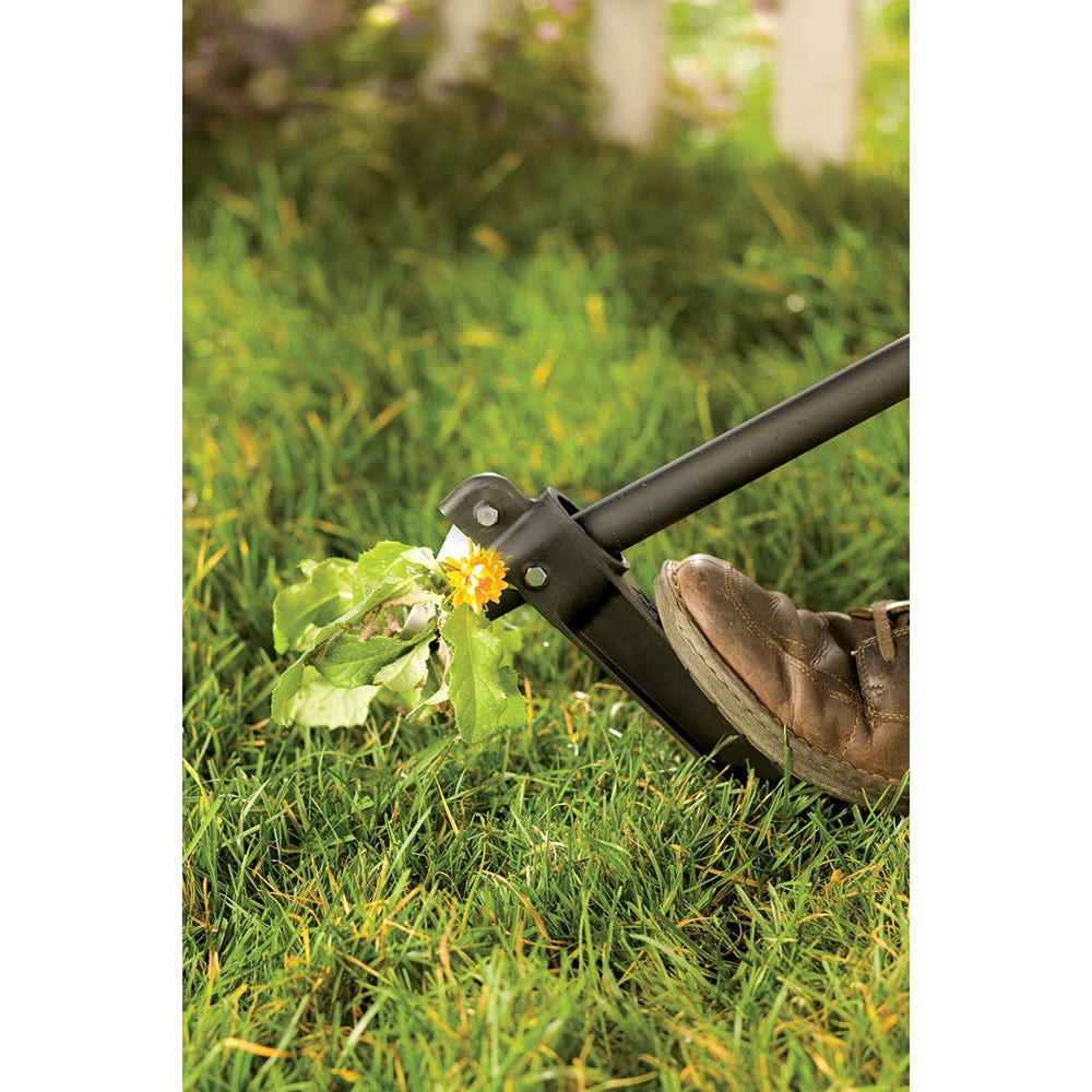 Extended Reach Lawn/Garden Weeder from Sporty's Tool Shop
