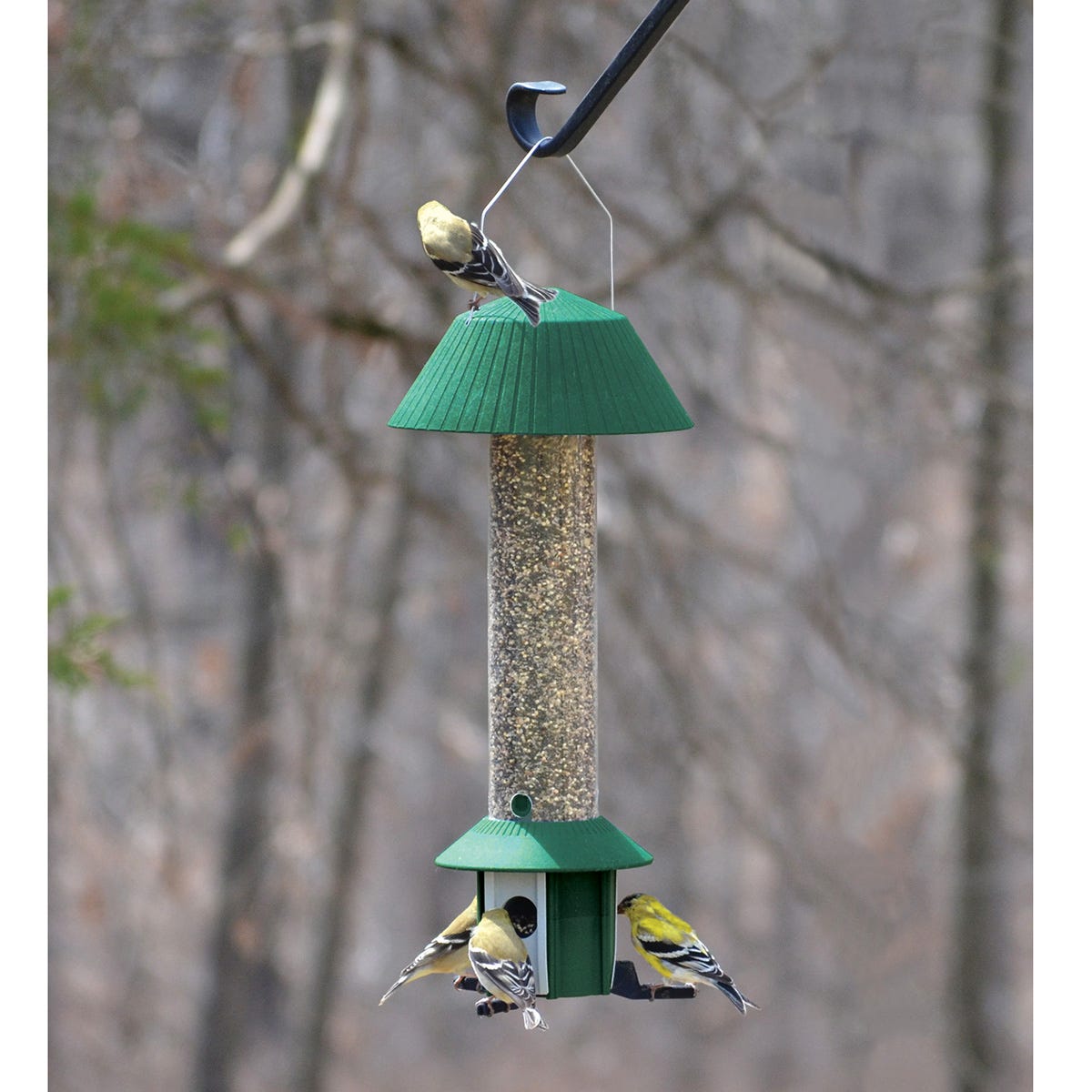 Squirrel Resistant Bird Feeder from Sporty's Tool Shop
