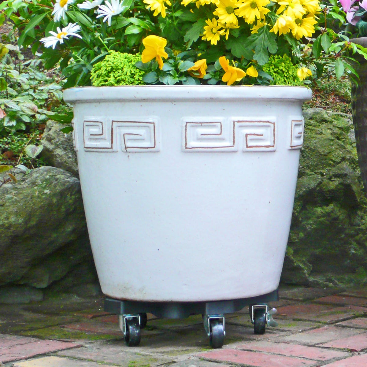 Commercial Plant Caddy from Sporty's Tool Shop