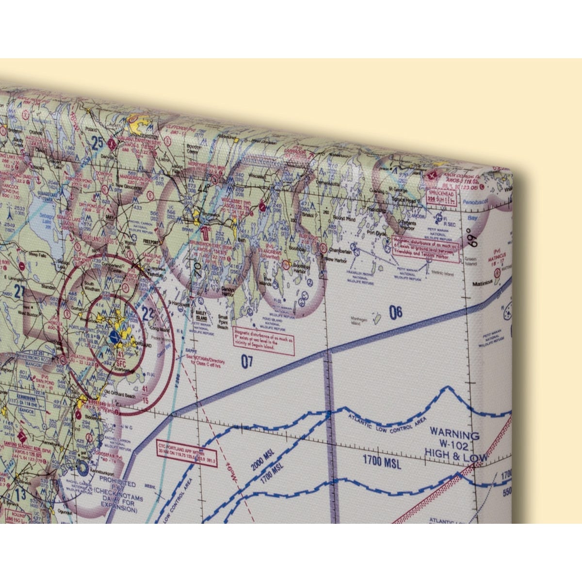 Custom VFR Sectional Chart Canvas Wall Art (20" x 30") from Sporty's