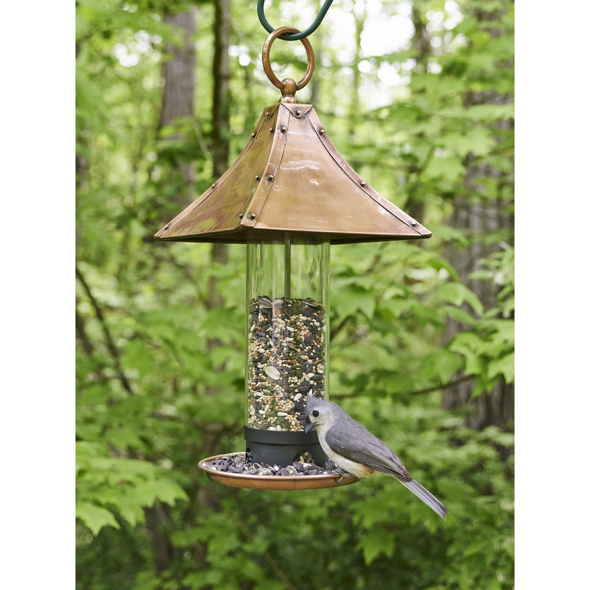 Image Result For Birdseed Lbs Image Result For Birdseed Lbs