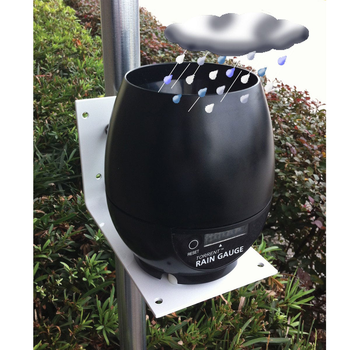 Wireless Digital Rain Gauge from Sporty's Tool Shop