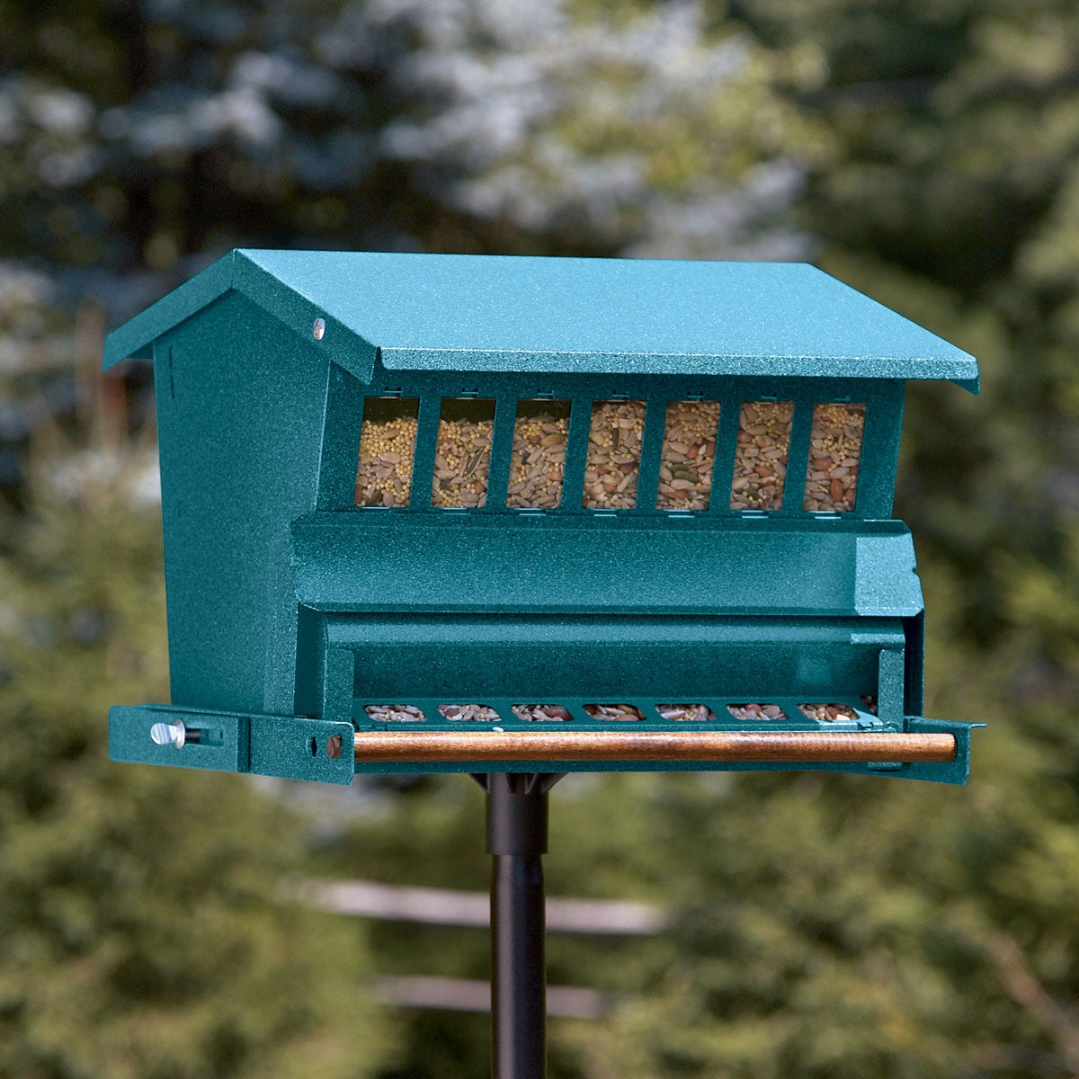 Squirrel-Proof Bird Feeder - from Sporty's Tool Shop