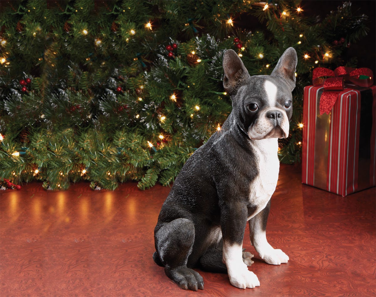 boston terrier statues