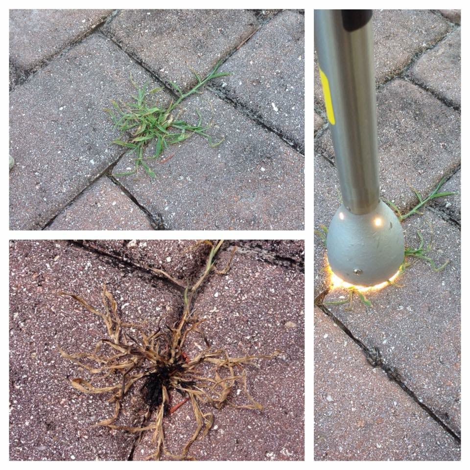 NatureZap Electric Weed Killer from Sporty's Tool Shop