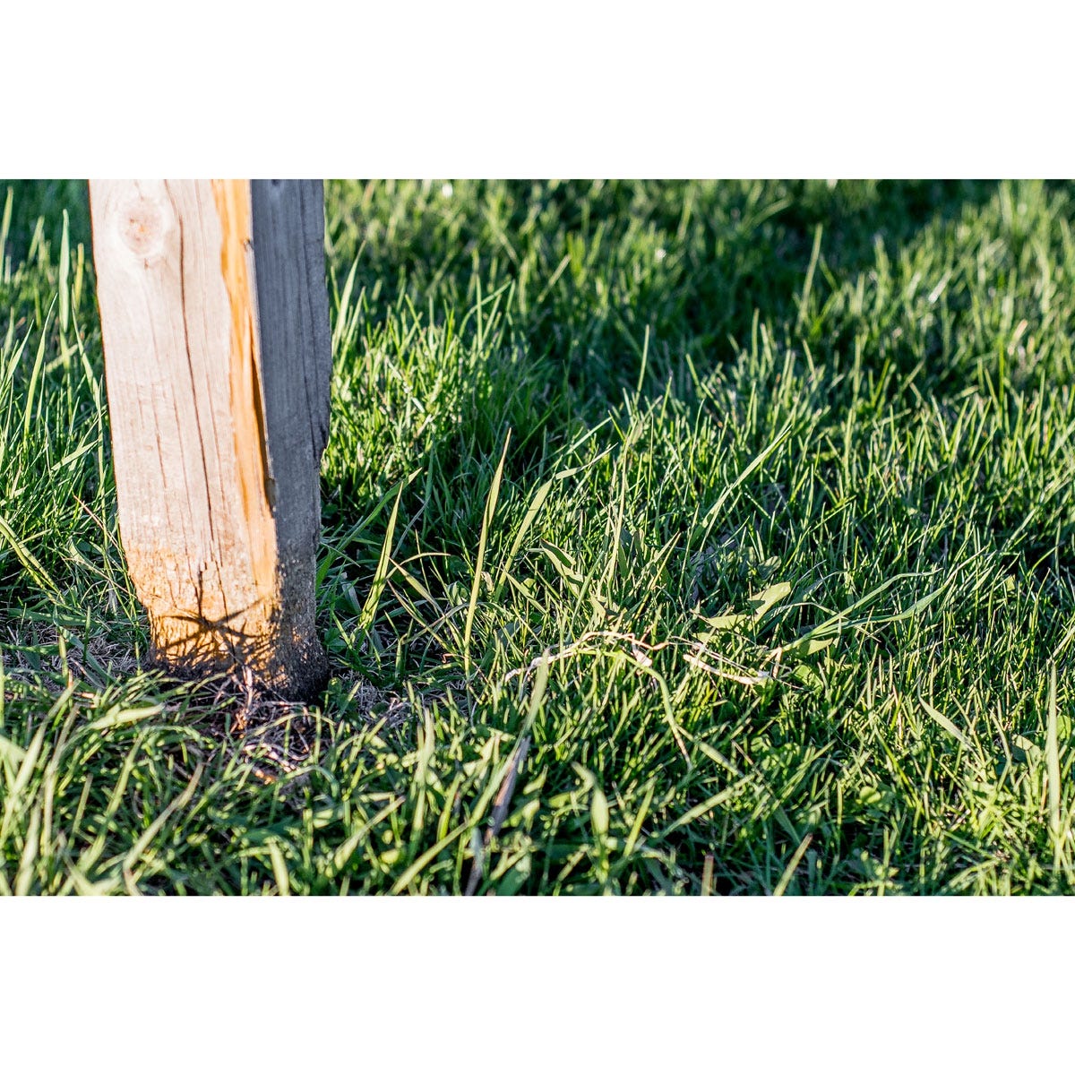 Post Protector 4" x 6" from Sporty's Tool Shop