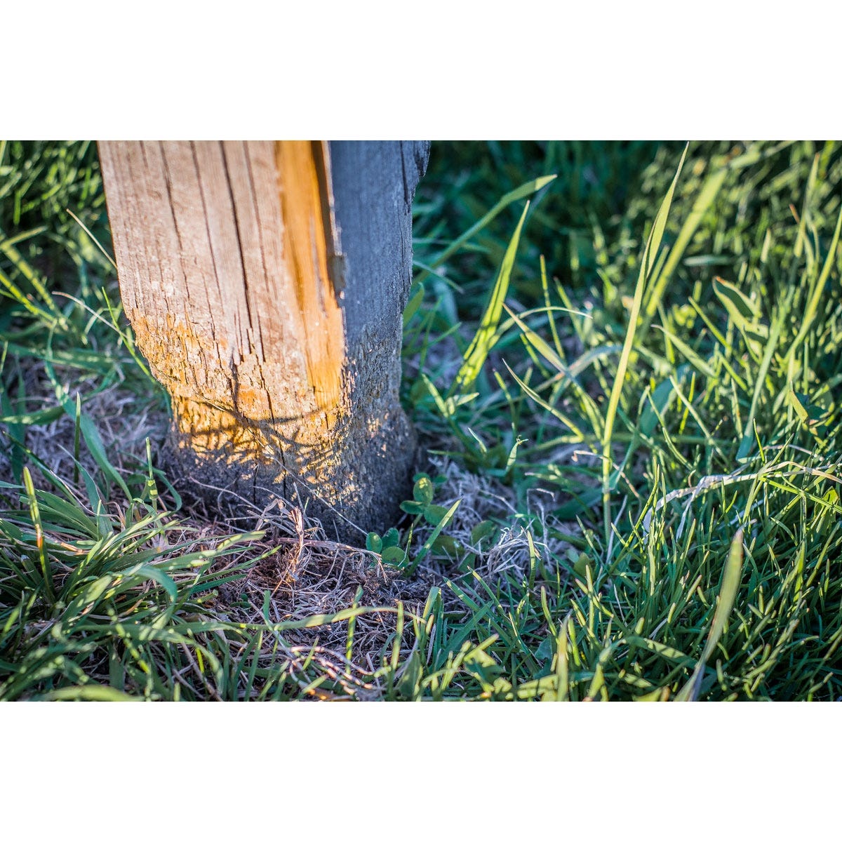 Post Protector 4" x 6" from Sporty's Tool Shop