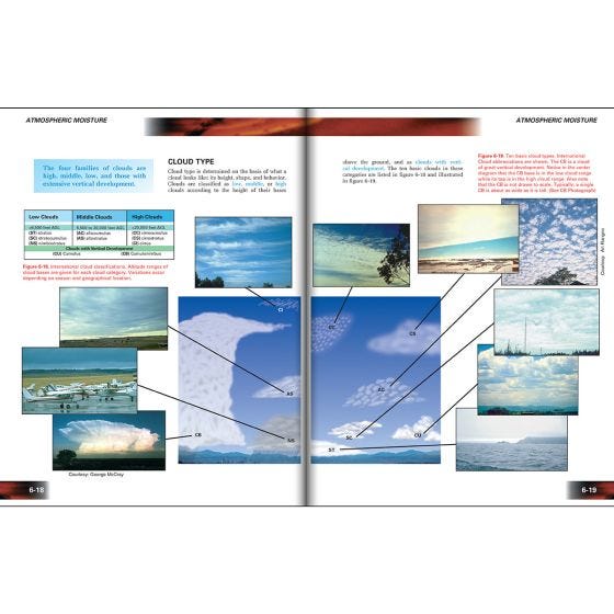 Jeppesen Aviation Weather (10001850-004)