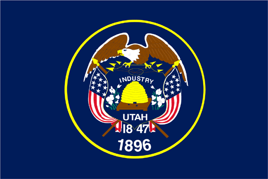 nylon state flag all