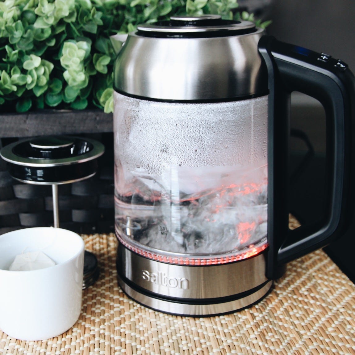 Temperature Control Tea Kettle with Steeper from Sportys Preferred Living