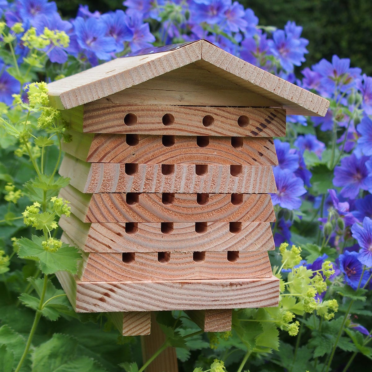 Solitary Bee House From Sporty s Tool Shop