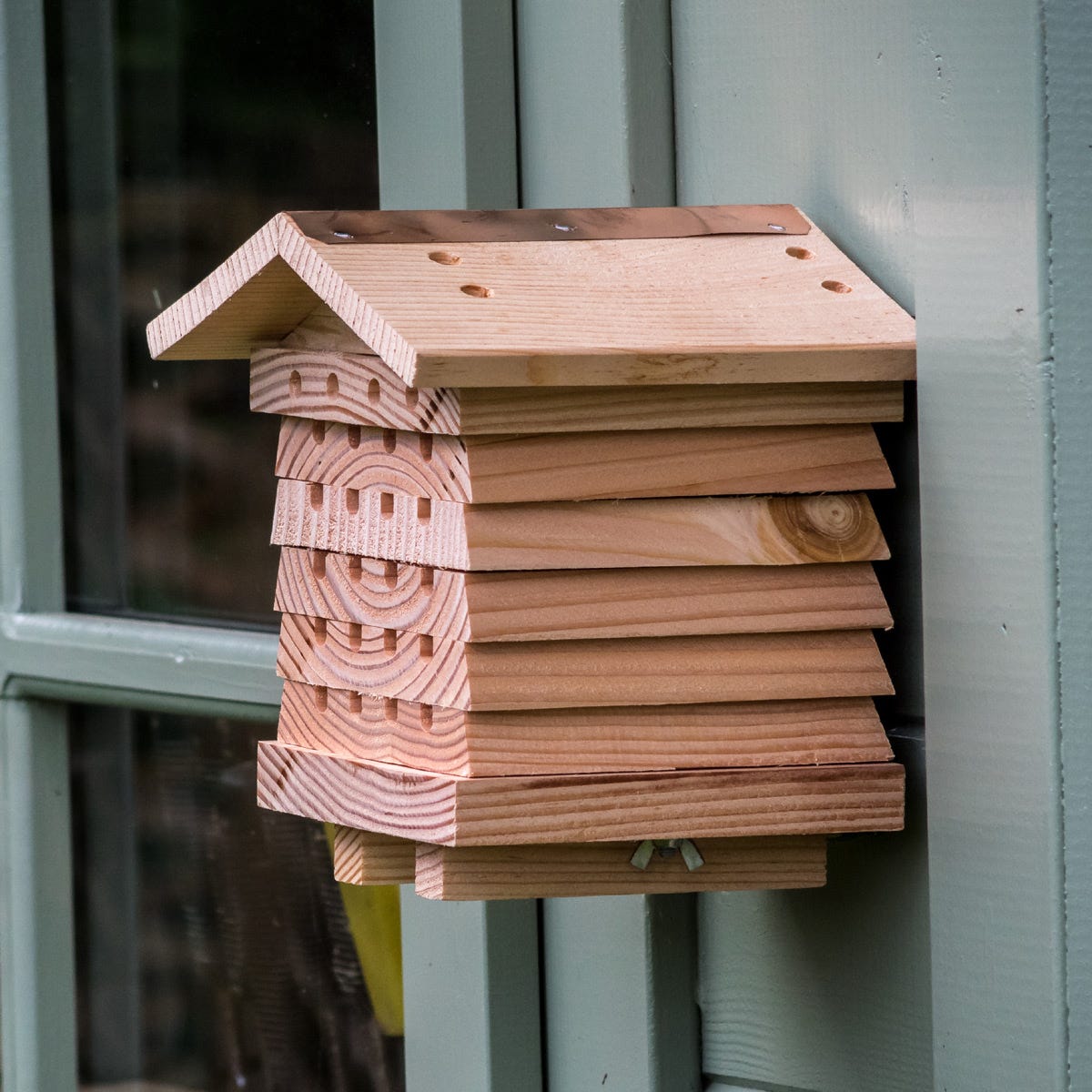 Solitary Bee House from Sporty's Tool Shop