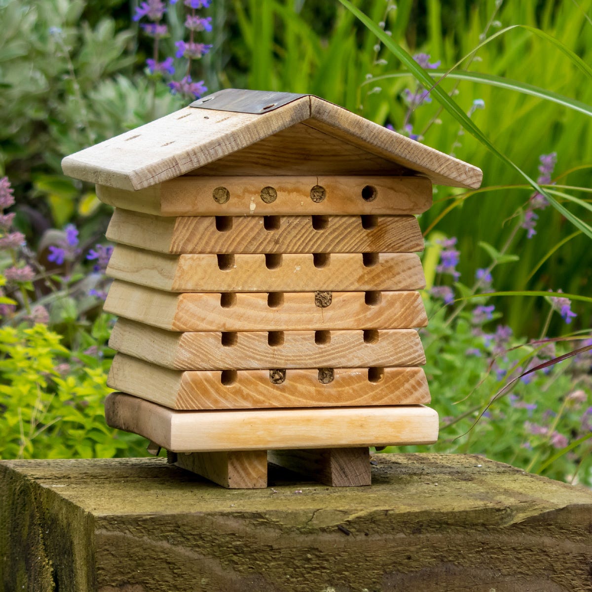 Solitary Bee House from Sporty's Tool Shop