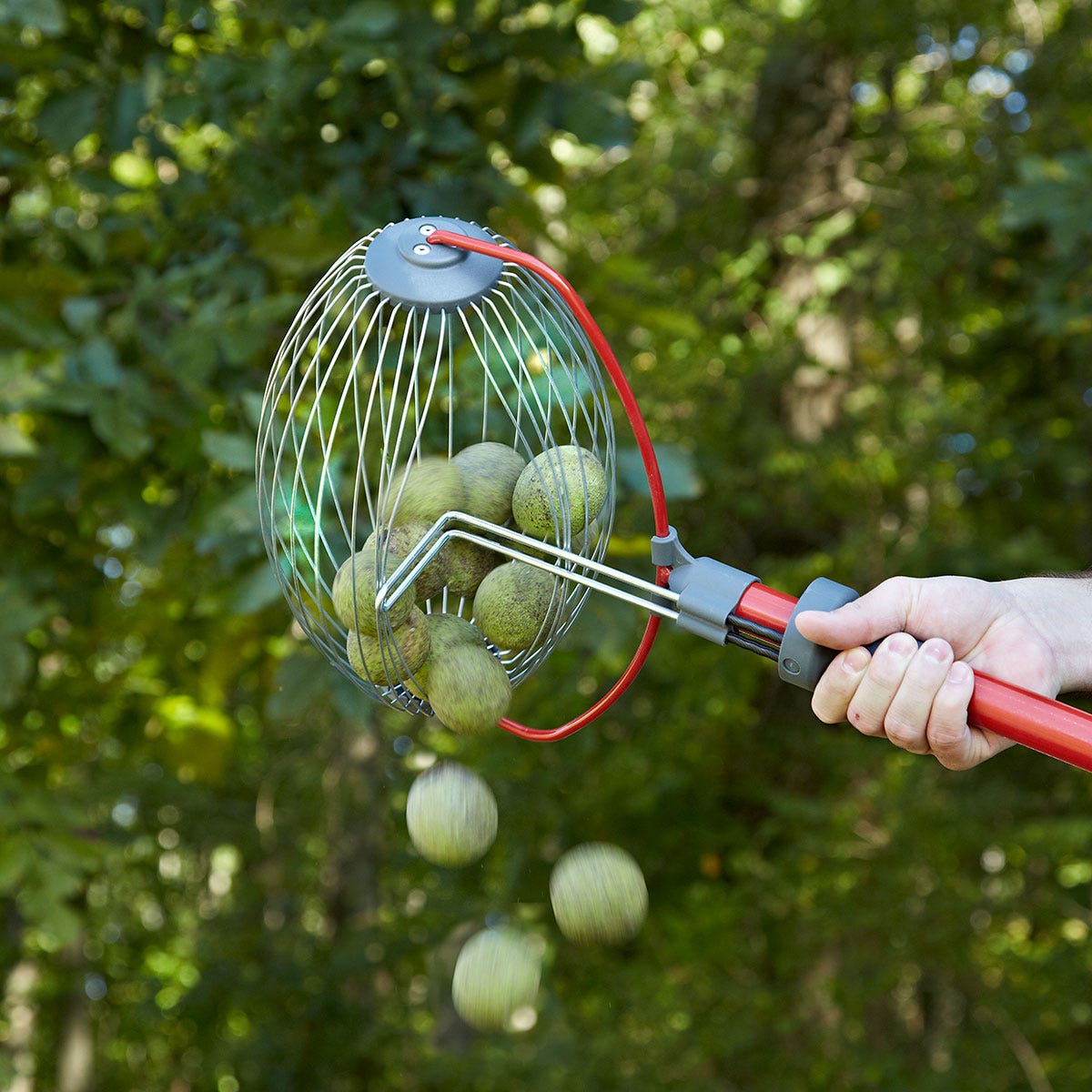 Large Nut Gatherer from Sporty's Tool Shop