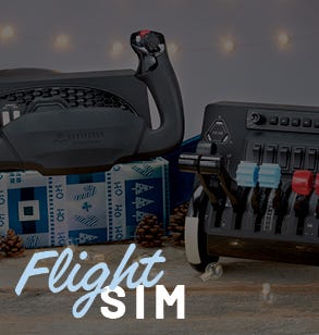 Flight Sim displayed
